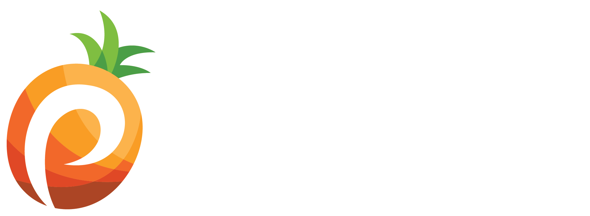 Pineapple Payments Logo