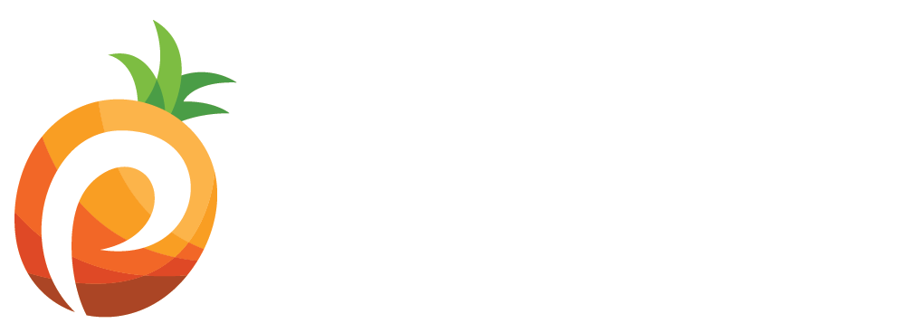 Pineapple Payments Logo