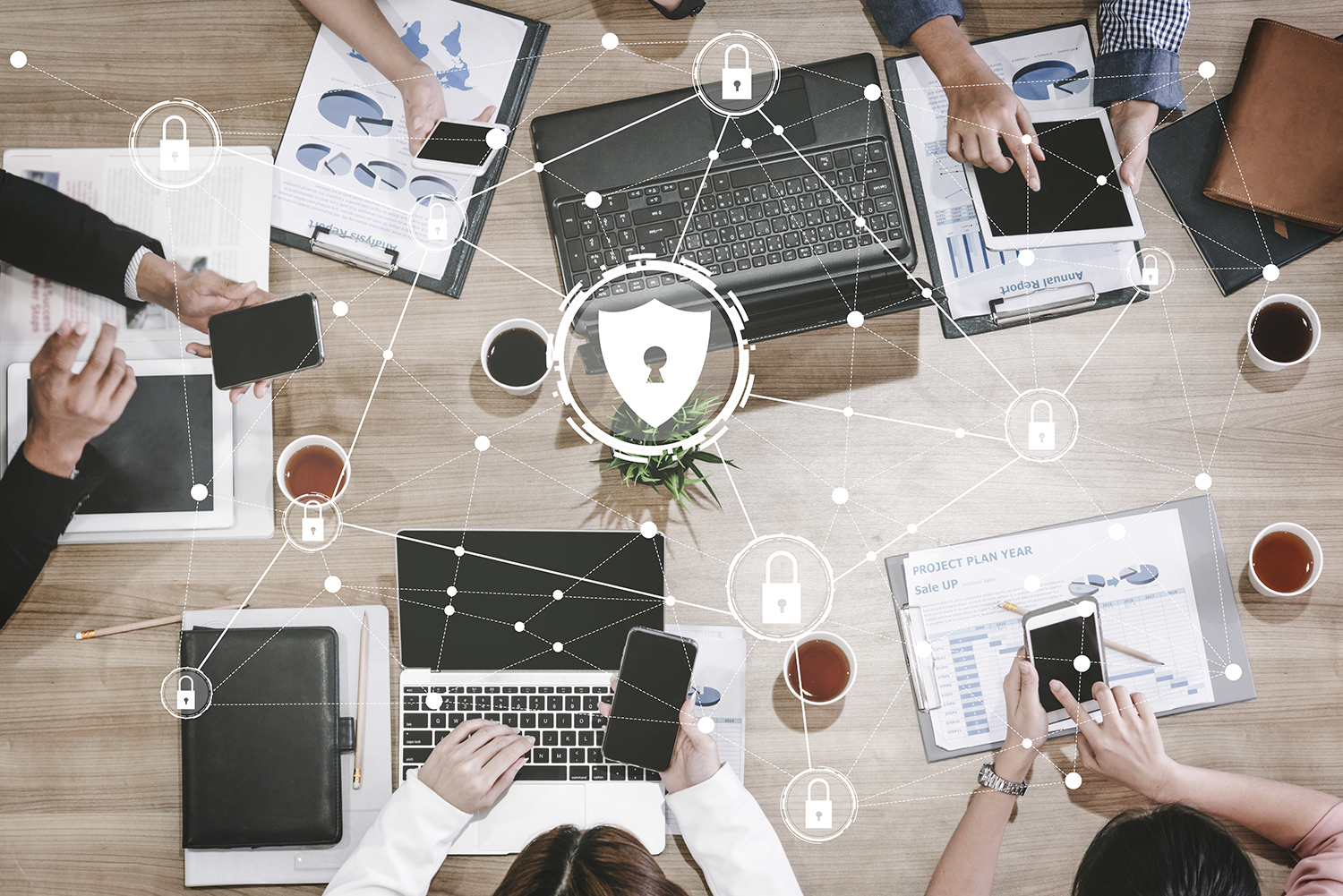 Protecting your Digital Identity